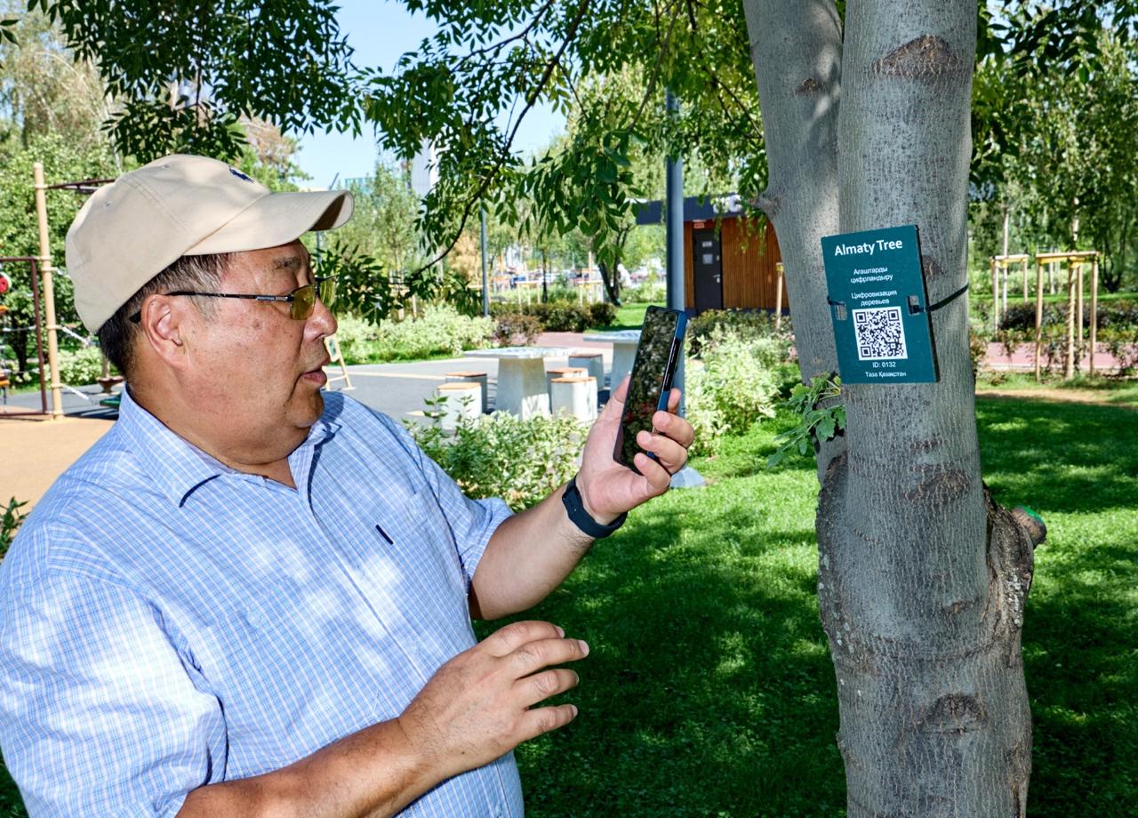 ДЕРЕВЬЯ АЛМАТЫ ПОЛУЧАТ ЦИФРОВЫЕ ПАСПОРТА: ПРОЕКТ KazNARU ВНЕДРЯЕТ QR-КОДЫ И ГИС
